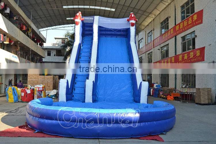 Commercial inflatable Nemo cartoon water slide with pool, giant inflatable water slide for sale