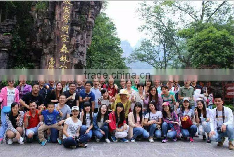 Lightning cable HDMI adapter miracast dongle for iphone