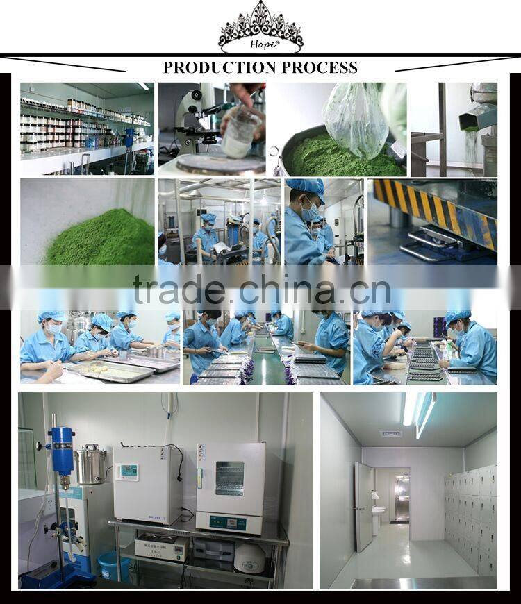 Top Quality 15 Color Waterproof Lip Gloss