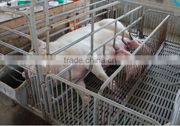 New design farrowing crates