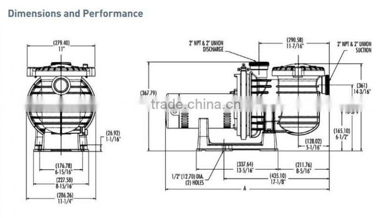 High efficiency and high performance pool&spa pump