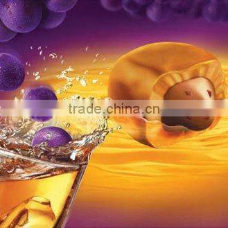 inkjet Backlit Film , rear printing backlit pet film