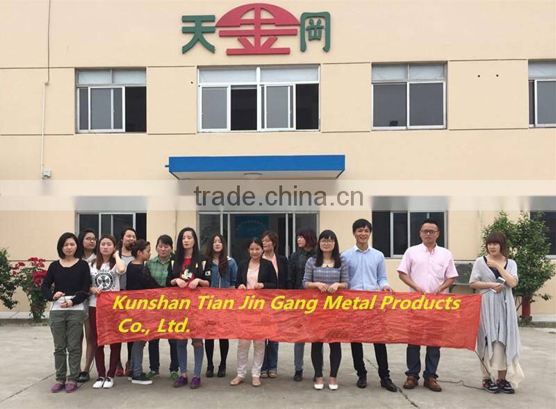 TJG-CW10 Taiwan Industrial Storage Cabinets Steel Metal Structure With 2 Doors For Garage Factory