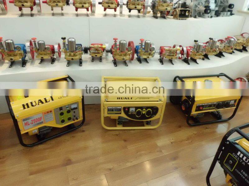 110V 220V 230V Single Phase AC Synchronous Generator