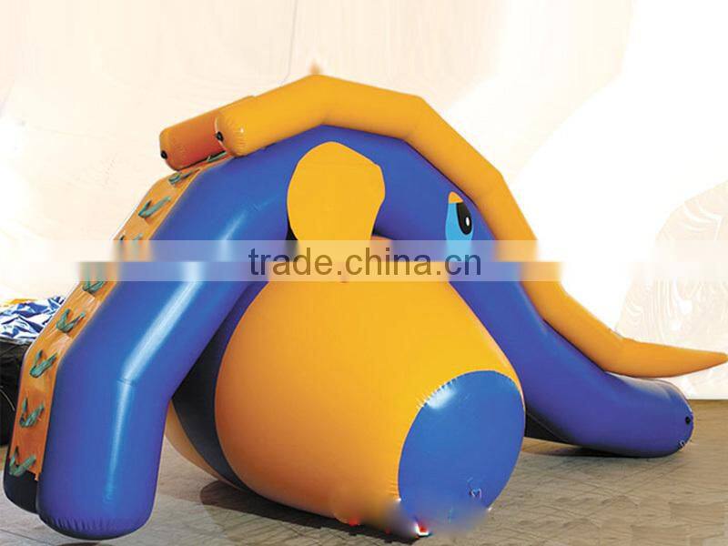 2015 hot sell ! Newest Design Inflatable water Slide, inflatable pool slide / inflatable slide for pool for entertainment