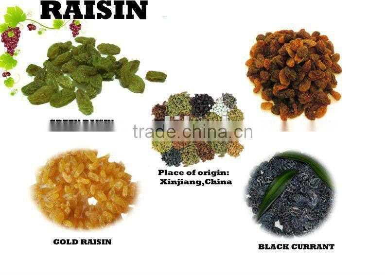 Sultana Raisin