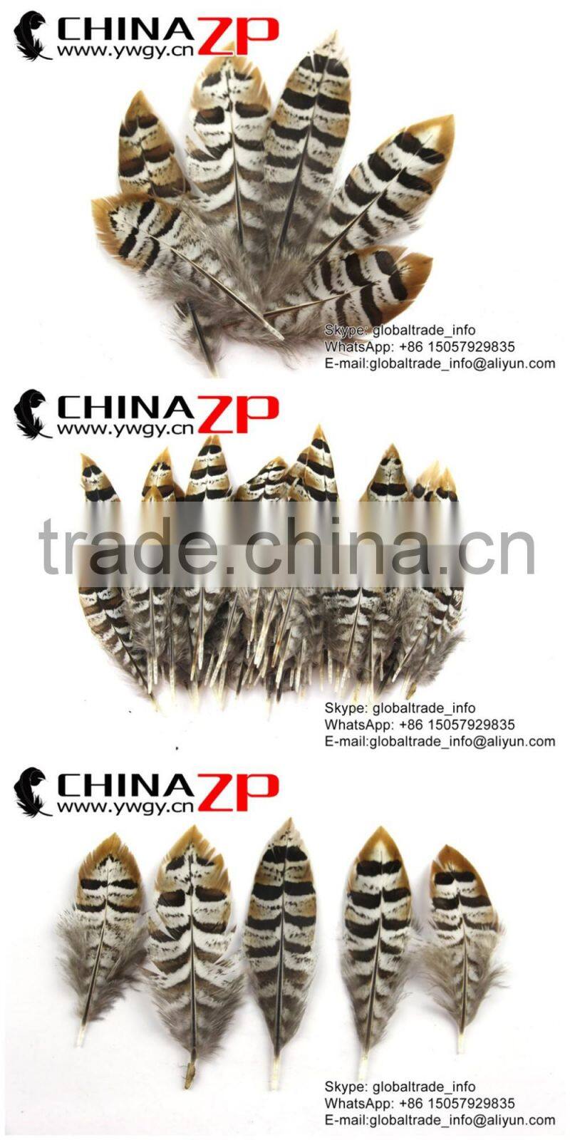 CHINAZP Bulk Sale Selected Prime Quality Natural 5-10cm Size Reeves Venery Pheasant Feathers for DIY Decorations