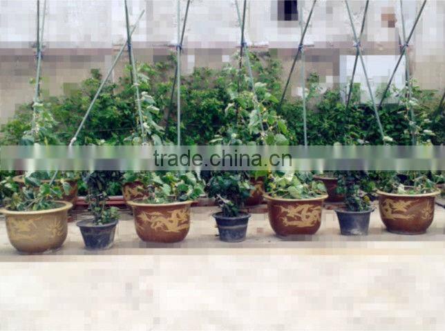 plastic coated steel decorative garden stakes