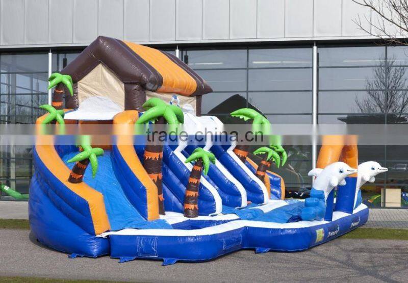 boys and girls water inflatable pool slide, low price inflatable waterslide on sale