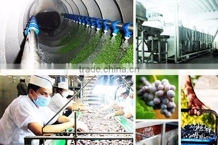 2016 new red raisins hot selling