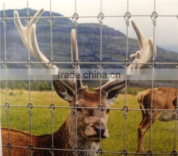 livestock field fence with high zinc coating