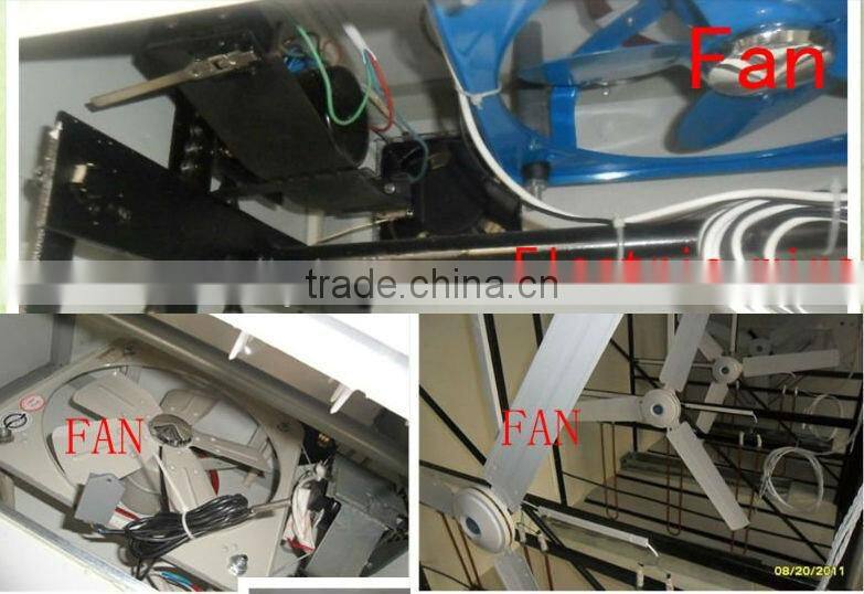 2013 best sellers automatic egg incubator(19712 eggs)