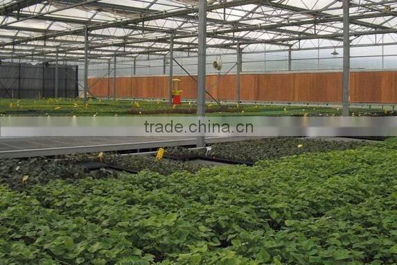 The house of flowers, good wet evaporative cooling pad