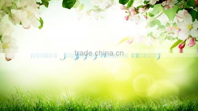 Waste Plastic Crusher Machine/Waste Bottle Crusher Machine/Waste Plastic Crusher