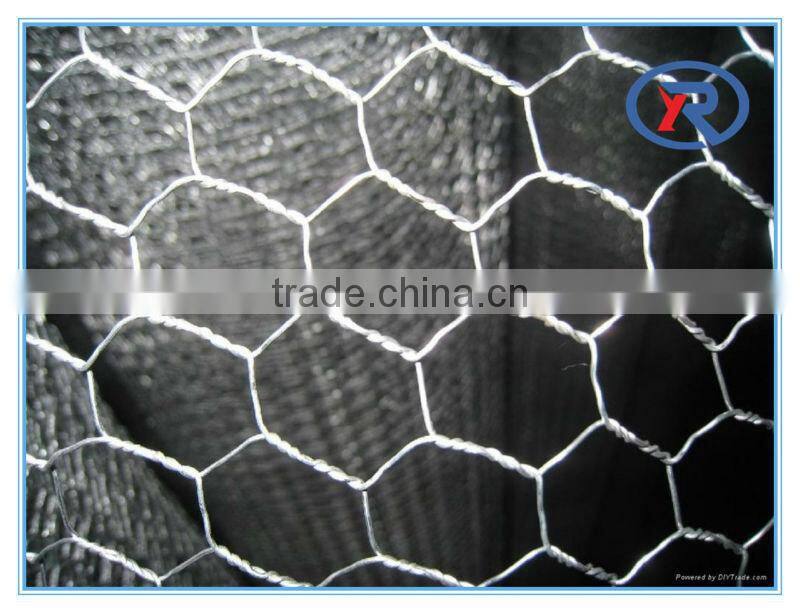 China cheap Hexagonal Wire Netting/ fence netten mesh/ animal catching netsing