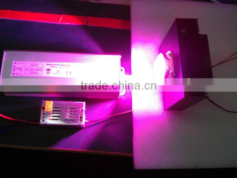 2017 20w full spectrum wavelength 380 840nm cob led grow bead for diy indoor plant flower and veg growing