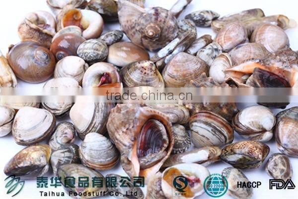 Seafood Importer Clam Meat Shellfish Seafood Frozen
