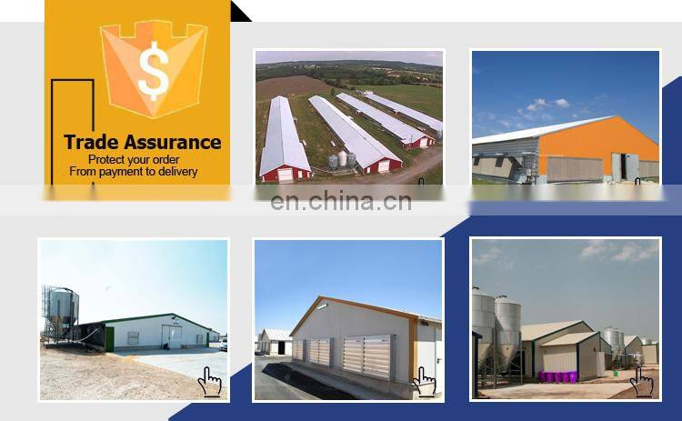 Broiler Poultry Farm House Design Steel Structure Chicken House