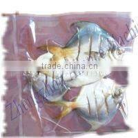 800 double chamber vacuum packing machine for vegetable