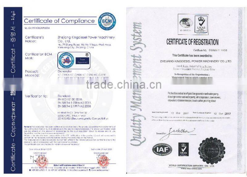 Prunning Machine Gasoline Chain Saw 58cc Easy Start 20''/22''/24'' Guide Bar Wood Cutting Machine