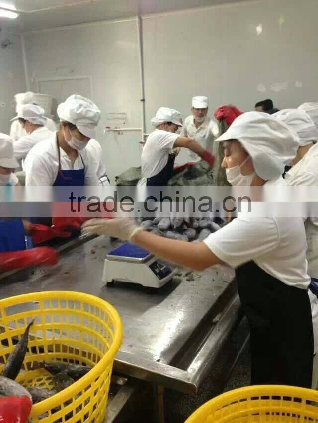 frozen fish bonito size