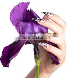 Acrylic Resin Nail powder for dipping