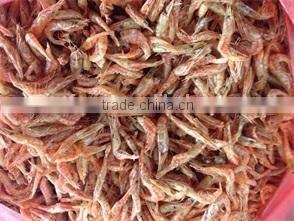 dried shrimp