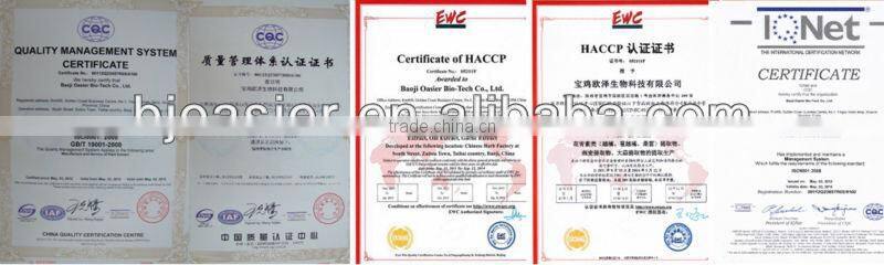 Natural GMP hot sale polysaccharide10% kelp extract for medicine