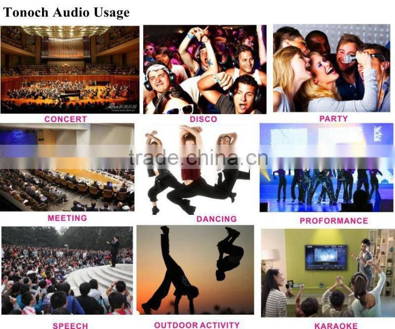 6.5/10/12/15inch Professional Bluetooth Speaker Ibastek Speaker