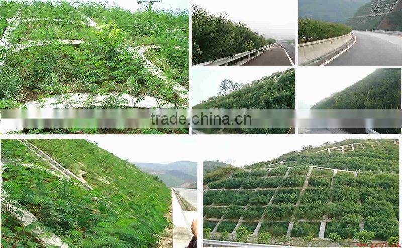 chinese slope hydroseeding and grass seeds planting machine price