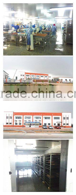 dry cat food salmon in bone shape MJC48 pet food cat treats