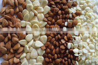 Best sale for Apricot Kernel with different type