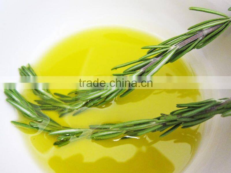 100%Pure Natural Rosemary Oil For Export Only