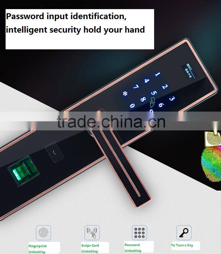 fingerprint mechanical combination lock