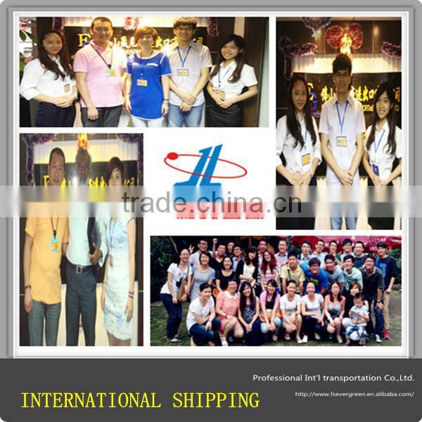 Foshan Ocean Freight Forwarding to Novorossiysk with Warehouse Consolidation