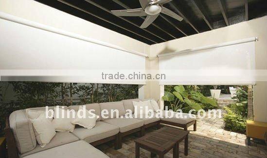 Decorative Window Motorized Roller Blinds