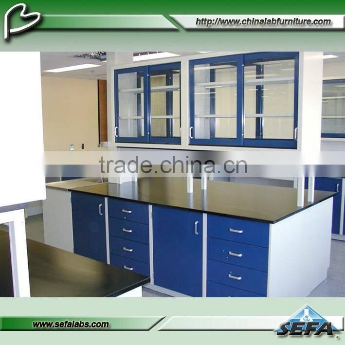High Quality School Lab Total Steel Furniture Workbench with Reagent Rack