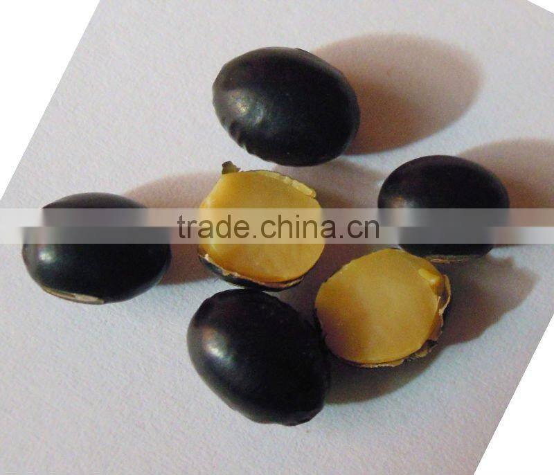 black bean yellow kernel ( soya bean) 2010