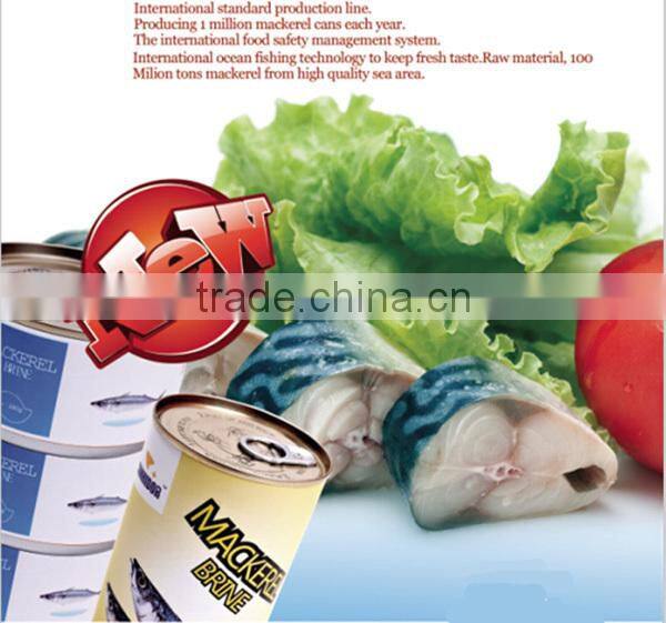 XINHAI deap sea wild mackerel canning fish wholesale