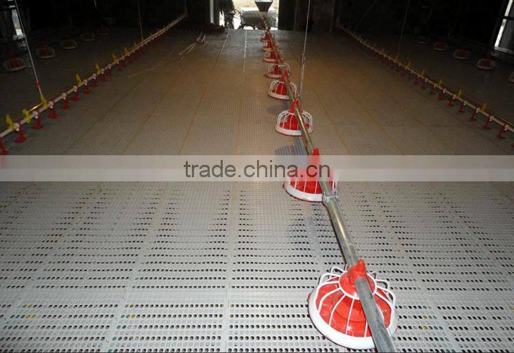 Automatic auger feeding system for chicken house