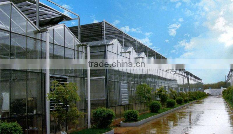 In external blinds PC board plant breeding was glass greenhouse
