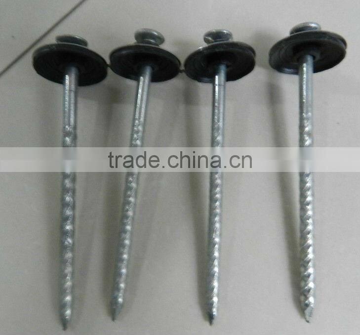 Cheap Raw Material Wire Nails for Construction for sale