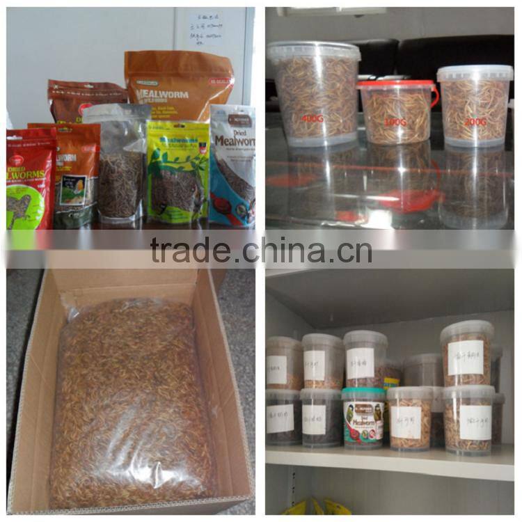 Pet Food Tenebrio Molitors &Dried Mealworm