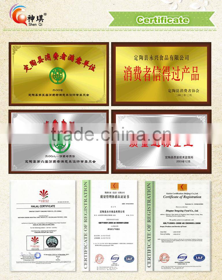 Low sugar yeast instant halal for bread, active dry yeast for bakery