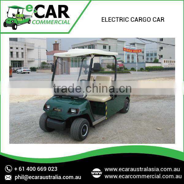 Mini Two Seater Electric Golf Cargo Car For Sale (LT-A2.H2)