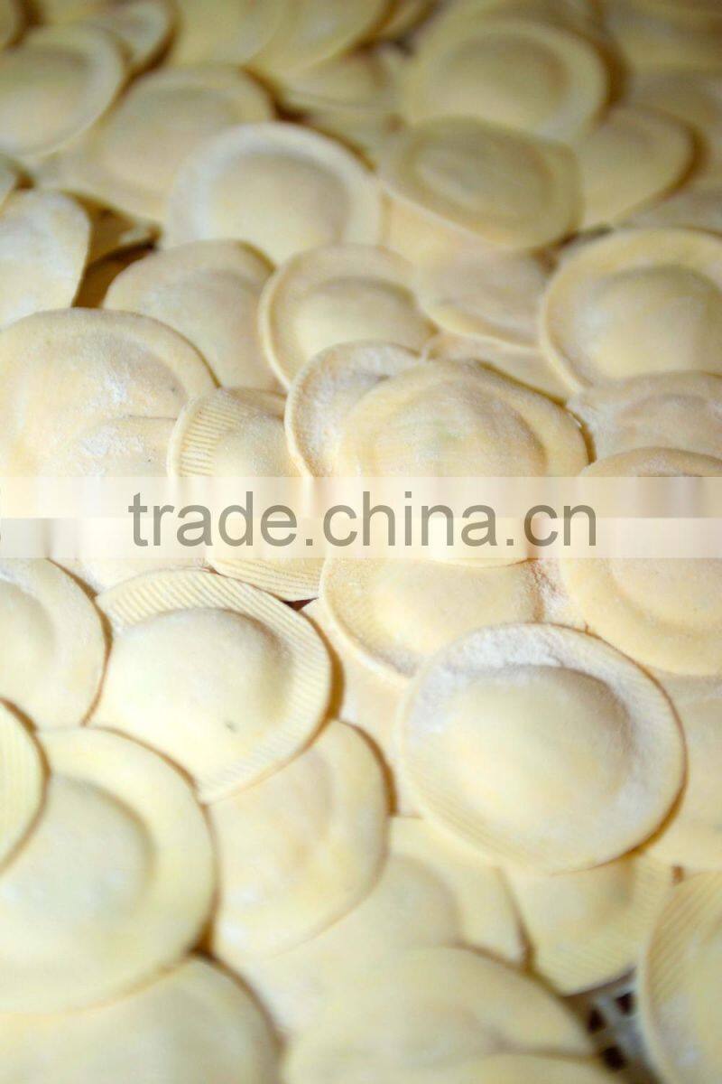 Professional Ravioli and pasta maker Machine