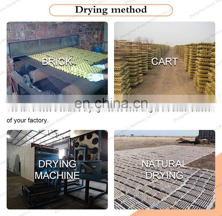 customized egg tray fruit tray pressing machine pulp mold machine making egg trays