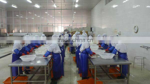 Supply frozen Spanish mackerel (scomberomorus niphonius)