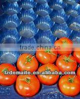 Plastic Insert Tray For Food