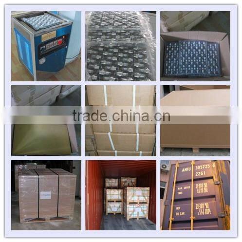 Pilot burner igniter/Pilot burner complete